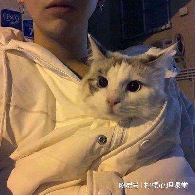 皮卡丘连连看手机版(PikachuXI)下载